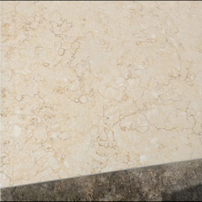 Kuldsete soontega beež marmor (1)