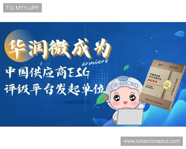 凯时在线娱乐城专业的技术团队,确保平台运行稳定安全 凯时在线娱乐城专业的技术团队,确保平台运行稳定安全